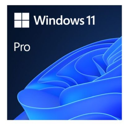 Microsoft Windows 11 Professional 64-bit